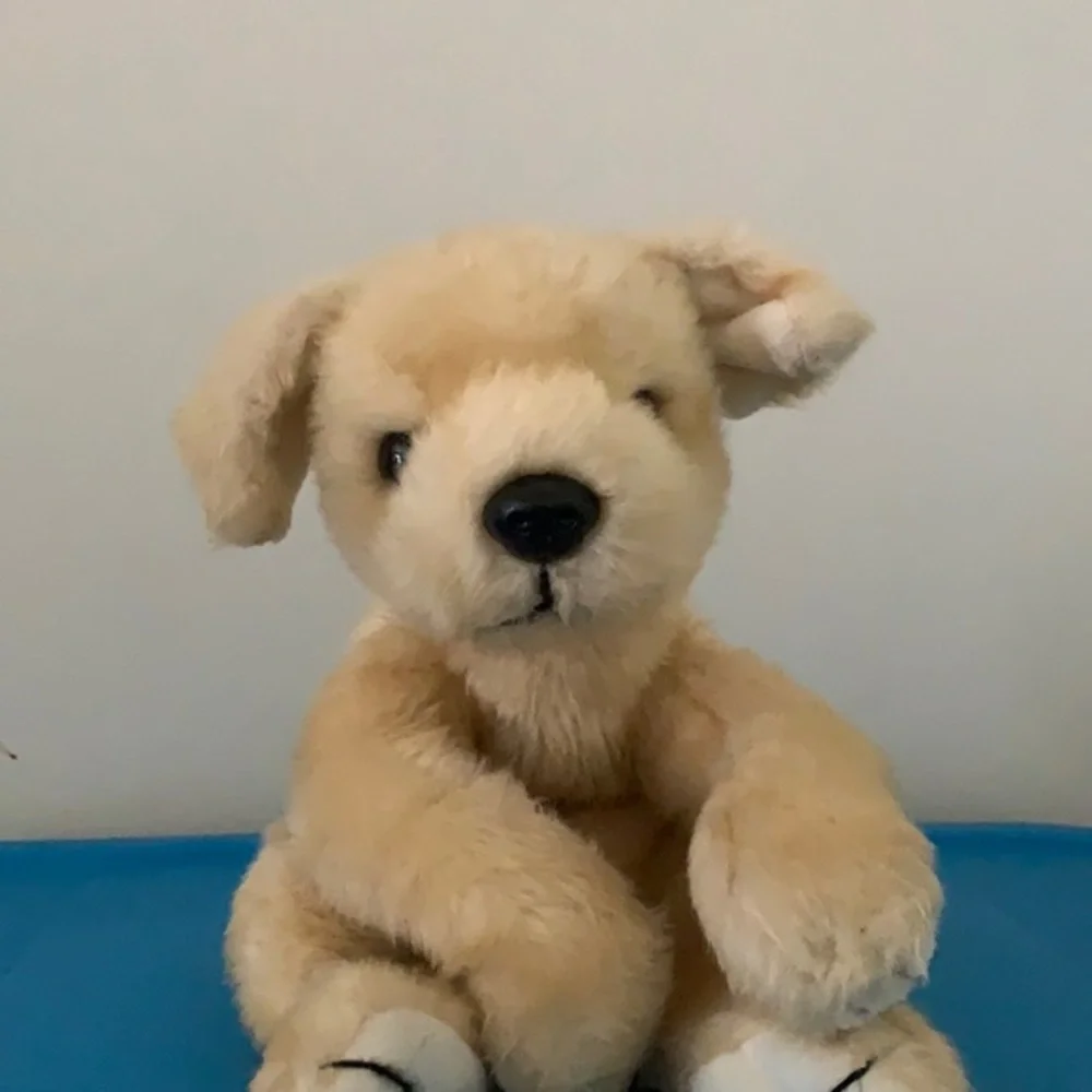 TY dog Pre owned